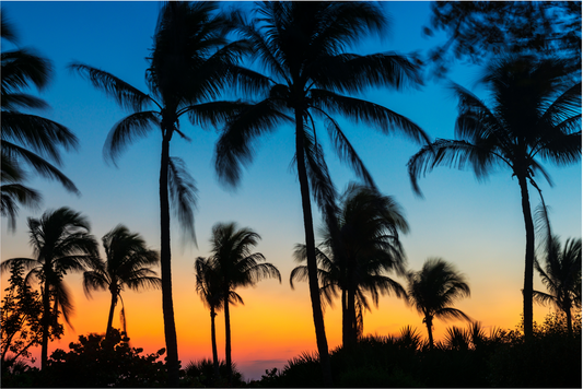 Energy Sustainability Interactive Workshop - Fort Myers